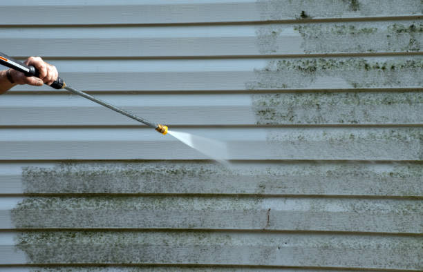 Best Patio and Deck Pressure Washing  in Shannondale, WV